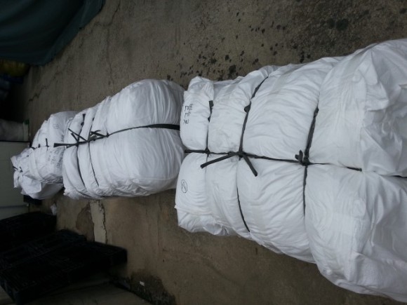 1e29512881a1f2592742b31a238aeb7b_1639632542_6938.jpg 1e29512881a1f2592742b31a238aeb7b_1639632542_6938.jpg